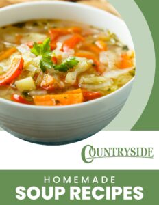 Homemade Soup